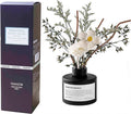Reed Diffuser Set with Dried Flowers, 3.38fl.oz Fragrance Diffuser with Sticks, Scented Sticks Aroma Diffuser, Home & Office Décor for Air Fresheners, Bathroom (Jasmine Tea)