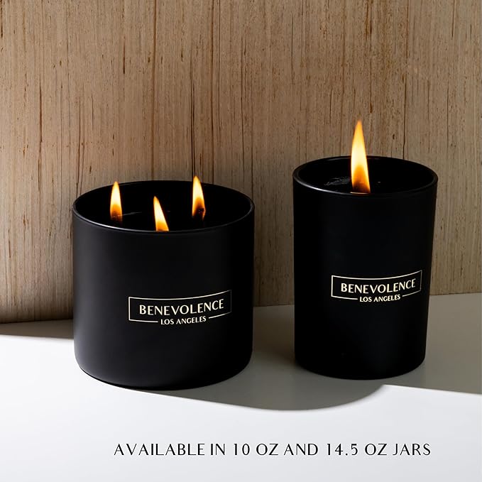 Benevolence LA 3 Wick Candle, Charcoal Large Scented Candle | Soy Candles | Holiday Candle Gifts for Women and Men | Home Fragrance | Aromatherapy | Bathroom Freshener 14.5 Oz, 45 Hour Burn