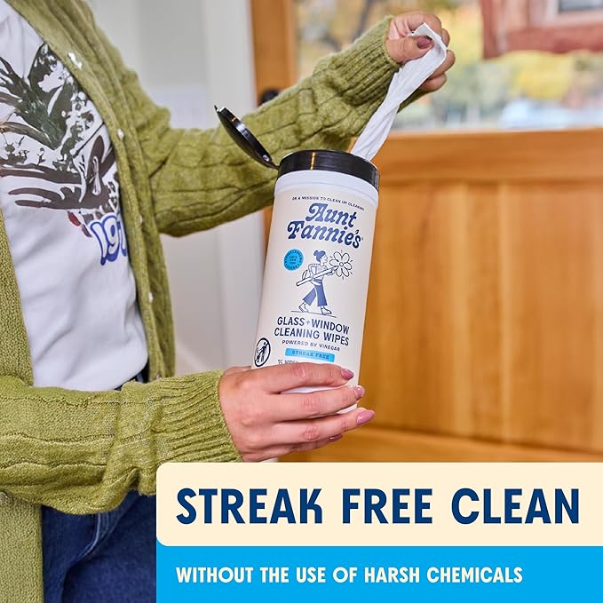 Aunt Fannie's Glass & Window Cleaning Wipes, Natural Streak-Free Glass Cleaner, 35 Count (Pack of 1)