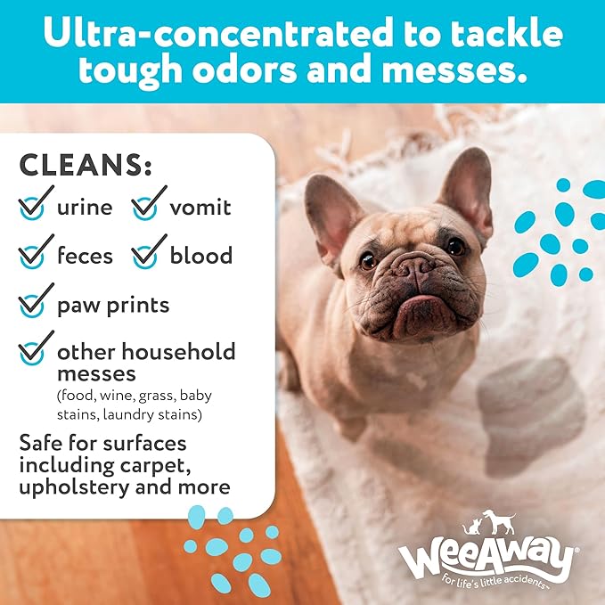 Wee Away X2 Ultra-Concentrated Stain & Strong Odor Eliminator, Enzyme Cleaner, Pet Odor Eliminator for Home - Dog Urine Destroyer - Carpet Cleaner Spray, Ocean Breeze Scent, 16 fl oz