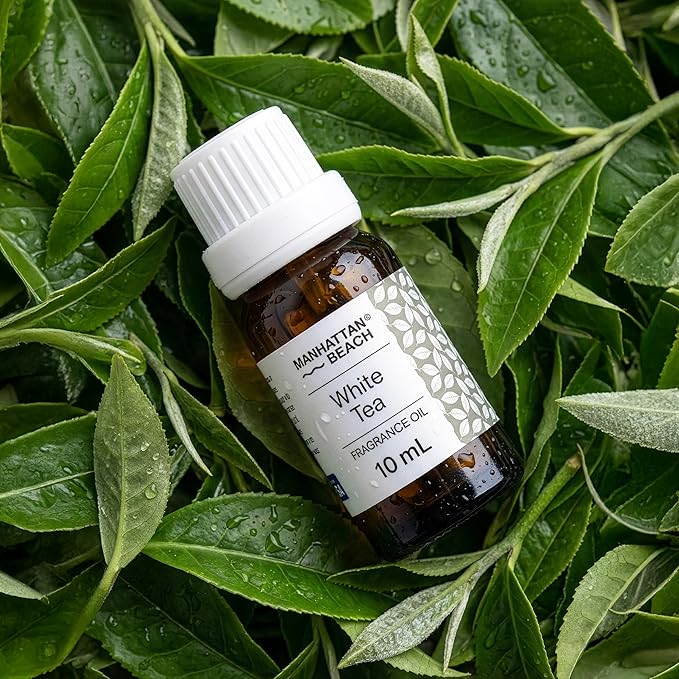 Manhattan Beach – White Tea Hotel Diffuser Oil – Luxury White Tea Fragrance Oil for Ultrasonic & Waterless Diffusers, Home & Spa, 10 mL Glass Bottle