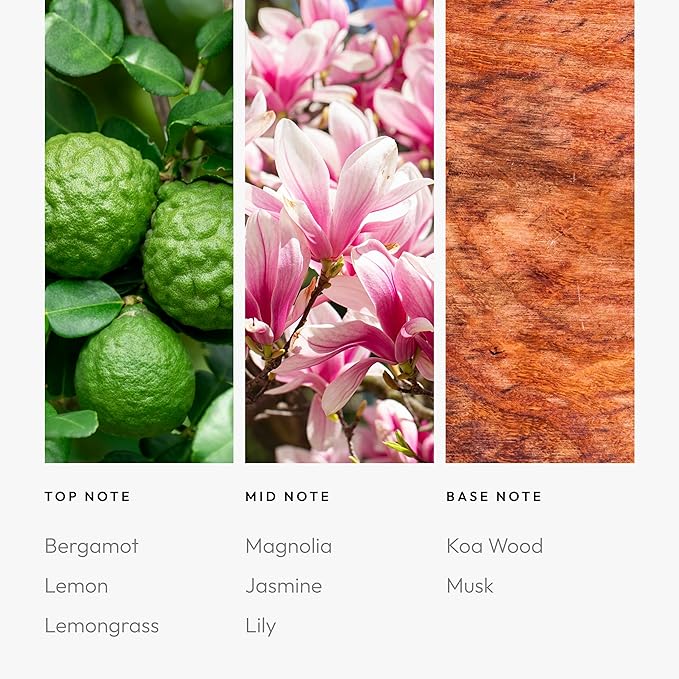 Aroma360-24K Magic Fragrance Oil Blend - 500ML | Hotel Inspired Luxury Essential Oil Diffuser | Aromatherapy Scent Diffuser Oil | Citrus Beginning of Bergamot, Lemongrass with Notes of Jasmine