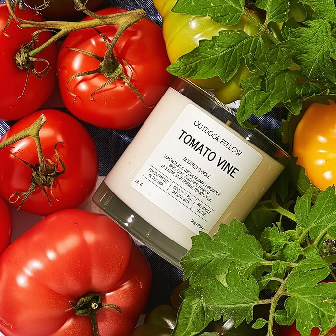 Outdoor Fellow Tomato Vine Scented Candle – 8oz Coconut Wax Blend – Strong Scent Throw – Inspired by Backyard Tomato Plants – Luxury Tomato Leaf Candle in Reusable Glass Jar