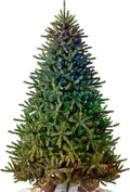 Balsam Hill 9ft Pre-Lit Classic Blue Spruce - Artificial Christmas Tree with Twinkly Lights, Easy Plug Technology, Premium Stand for Indoor Holiday Decorating