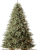 Balsam Hill 6.5ft Pre-Lit Classic Blue Spruce - Artificial Christmas Tree with 2,144+ Tips, 700 Clear LED Lights, Easy Plug Technology & Premium Stand for Indoor Holiday Decorating