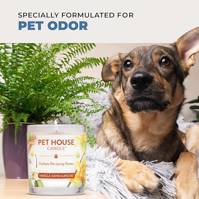 Pet House Cranberry Candle Plant Based Clean Burning Scented, Long Lasting Pet Odor Candle for Home - Sweet Cranberries