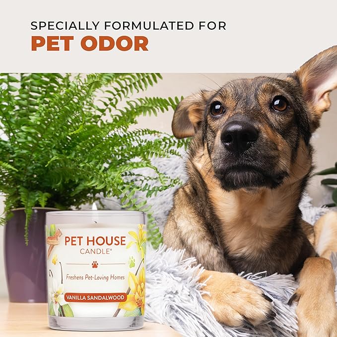 One Fur All Pet House Fall Candles, Long Lasting, Clean Burning, Soy Wax Scented Candles for Pet Odor, Falling Leaves, 2 Pack