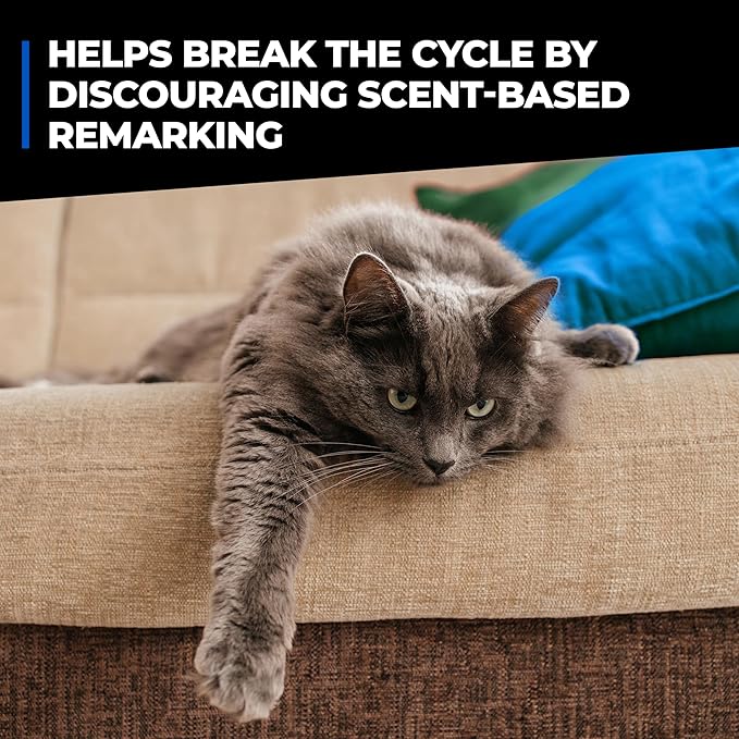 Simple Green Pet Stain and Odor Eliminator 32 oz Spray & 1 Gal Refill