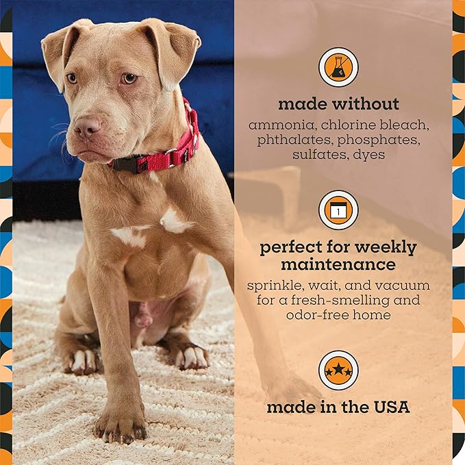 Pet Life Unlimited Carpet Refresher & Deodorizer Powder - Pet Safe, Plant Based Wild Sage & Neroli Scent, Made in USA - 16oz (Pack of 1)