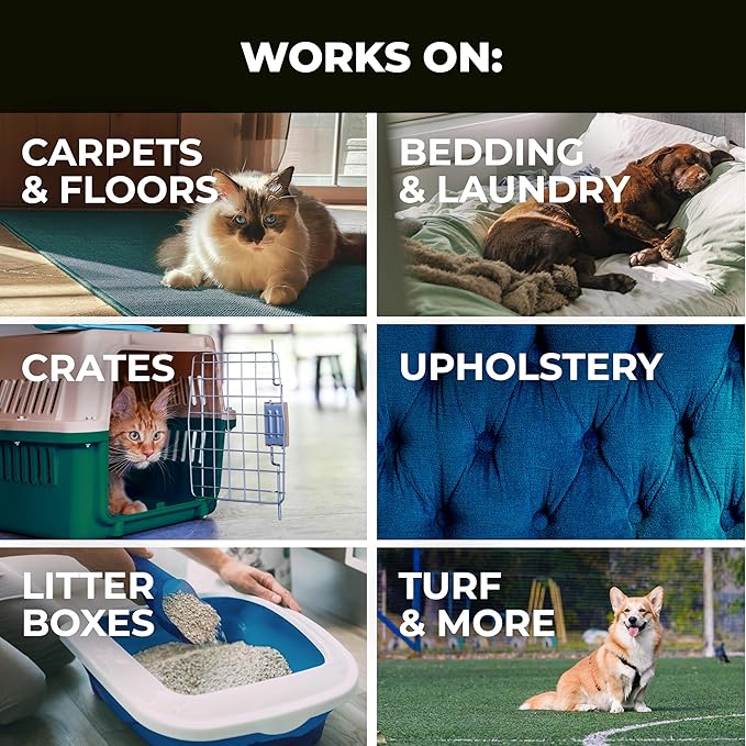 Simple Green Pet Stain and Odor Eliminator 32 oz