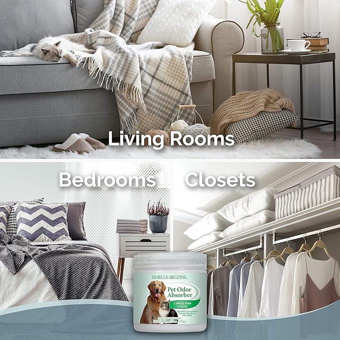 SMELLS BEGONE 15oz Gel Odor Eliminator - Absorb & Remove Tough Odors in Pet Areas, Bathrooms, Basements, Garage, Cars, RVs & Boats - Eliminate Odors Quickly (1-Pack, Pet Calming Rain)