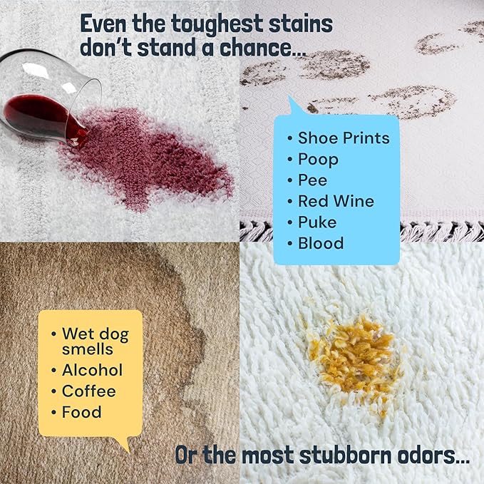 Sunny & Honey Carpet Cleaner Solution - Rug Shampoo & Upholstery Cleaning Solution - Pet Surface Odor Eliminator & Pet Stain Remover (32 fl oz, Fresh Summer Scent)