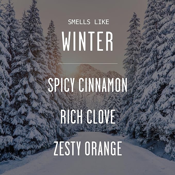 Winter Diffuser, Christmas Diffuser - w/Cinnamon, Clove & Orange I Infused w/Essential Oils I3.75 OZ Oil I Christmas Décor I Long-Lasting Scent Lasts 4-6 Month's I Made in The USA