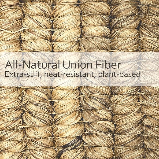 REDECKER Curved Dish Brush, Natural Union Plant Fiber Bristles, Ergonomic Design with Oiled Beechwood Handle, 9-1/4 Inches, Set of 2, Made in Germany - Natural Bristle Dish Brush